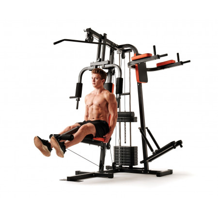 Силовой комплекс DFC HomeGym D7002