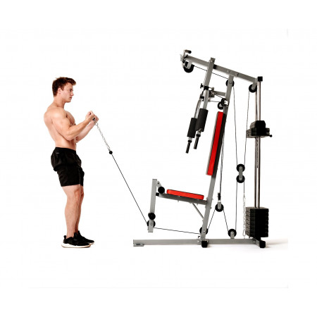 Силовой комплекс DFC HomeGym D7000 / стек 45 кг