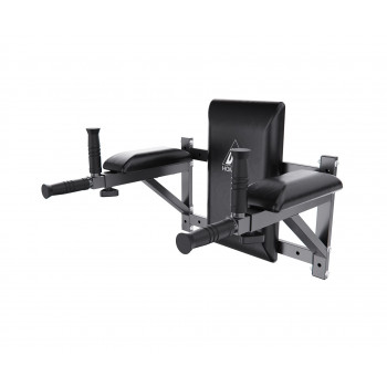 Брусья настенные DFC Homegym G294