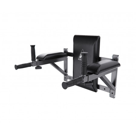 Брусья настенные DFC Homegym G294