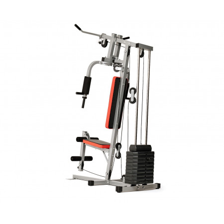 Силовой комплекс DFC HomeGym D7000 / стек 45 кг