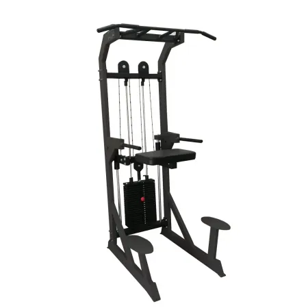 Гравитрон профессиональный BRONZE GYM PARTNER ML-701
