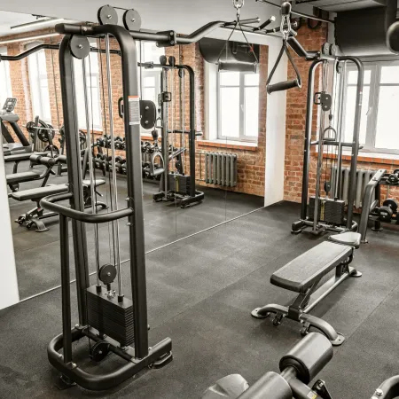 Кроссовер профессиональный BRONZE GYM NEO 16