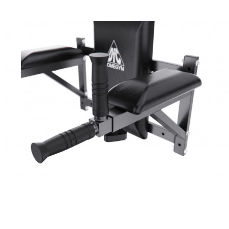 Брусья настенные DFC Homegym G294