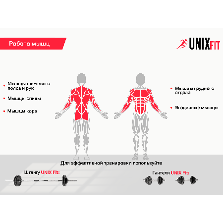 Скамья силовая универсальная UNIX Fit BENCH 110