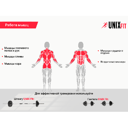 Скамья силовая универсальная UNIX Fit BENCH 130