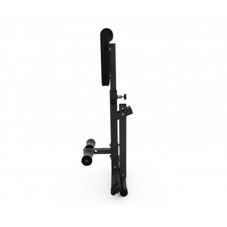 Гиперэкстензия DFC Homegym SJ1006